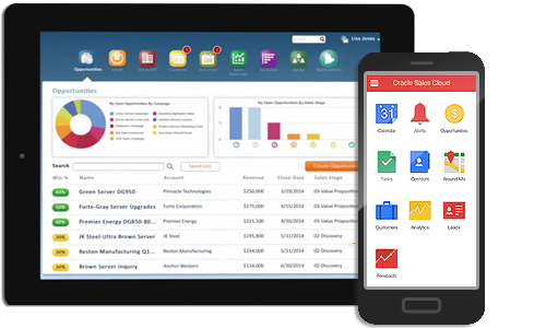 salescloudmobile1